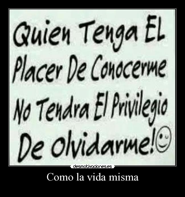 Como la vida misma -