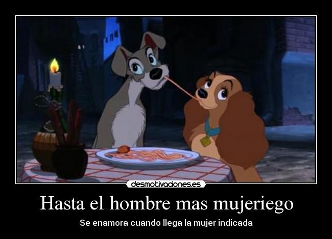 carteles dama vagabundo desmotivaciones