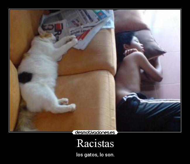 carteles lamask8 irca hostia cidonnch anapuntobgutierrez98 shyless pienso matar dospuntos desmotivaciones