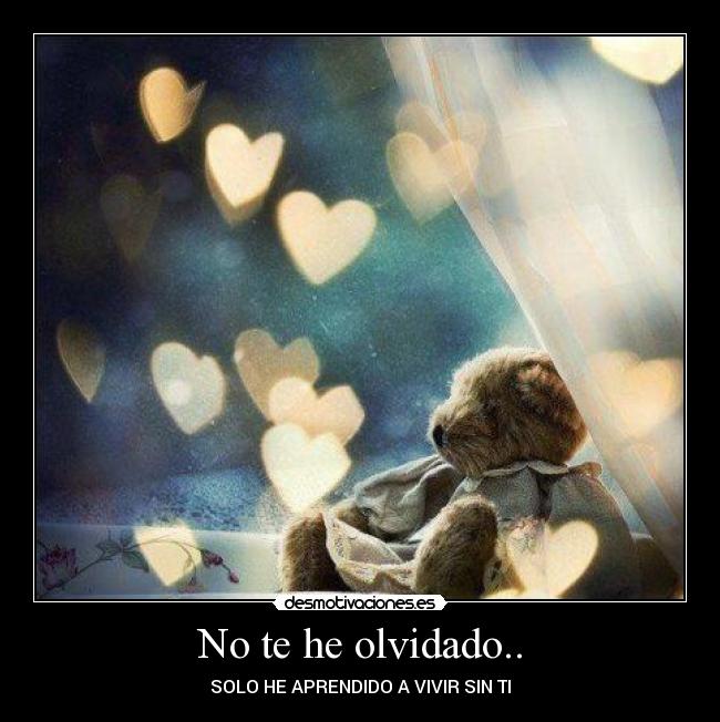 No te he olvidado.. - SOLO HE APRENDIDO A VIVIR SIN TI