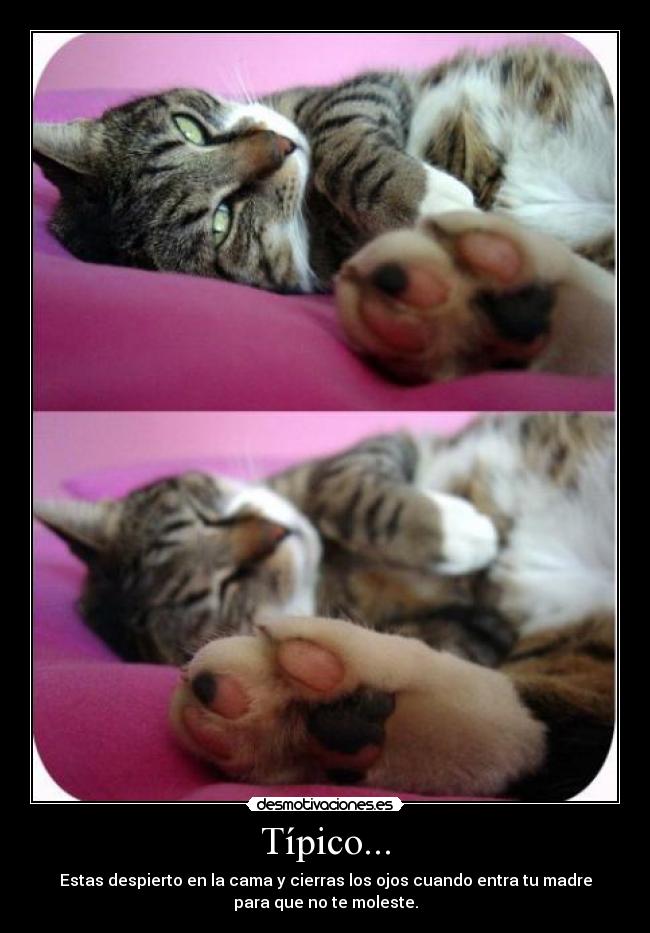 Típico... - Estas despierto en la cama y cierras los ojos cuando entra tu madre
para que no te moleste.