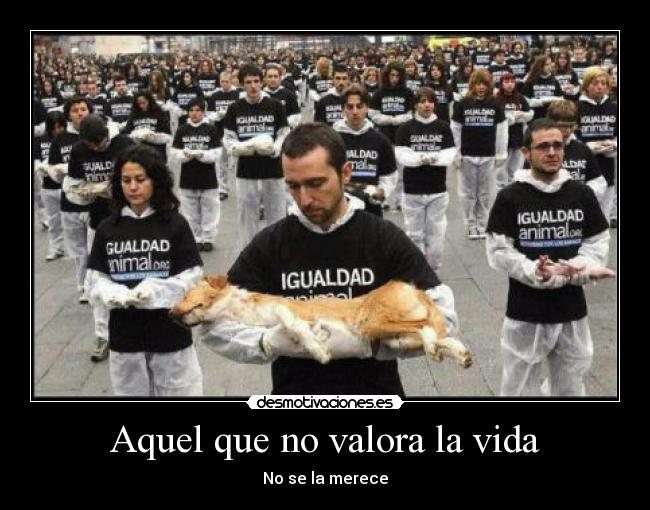 Aquel que no valora la vida - No se la merece