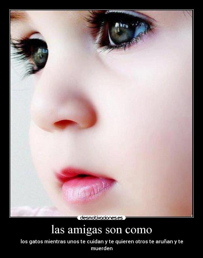 carteles jessica camila ani kathalina desmotivaciones