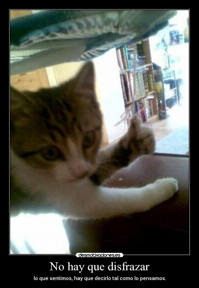 No hay que disfrazar - lo que sentimos, hay que decirlo tal como lo pensamos.