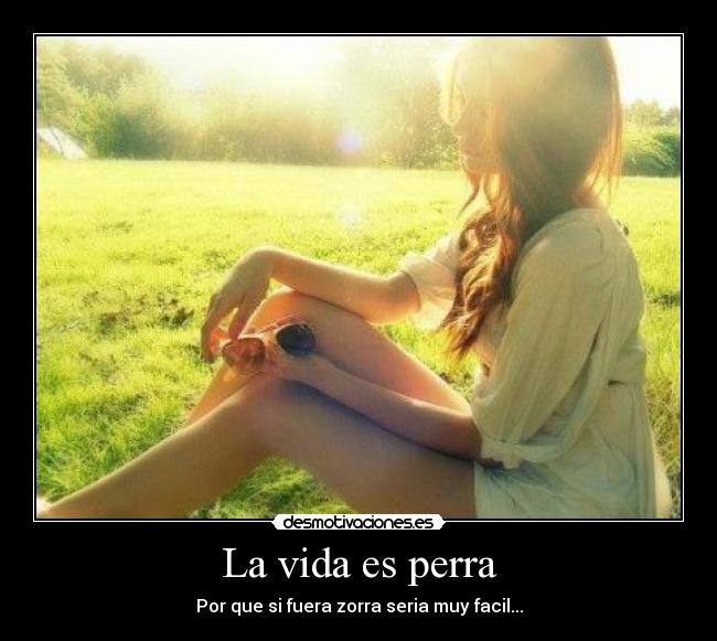 La vida es perra - Por que si fuera zorra seria muy facil...
