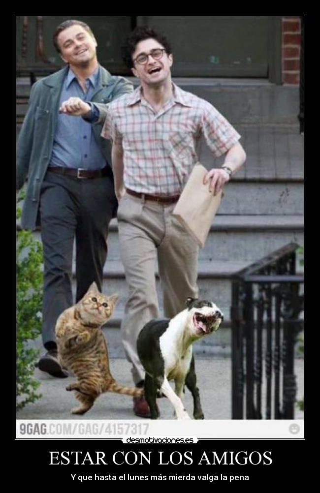 ESTAR CON LOS AMIGOS - 