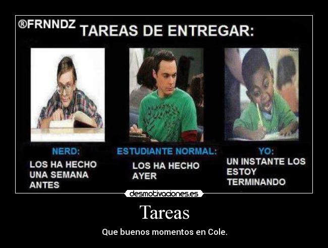 Tareas -