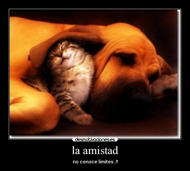 la amistad - no conoce limites..!!