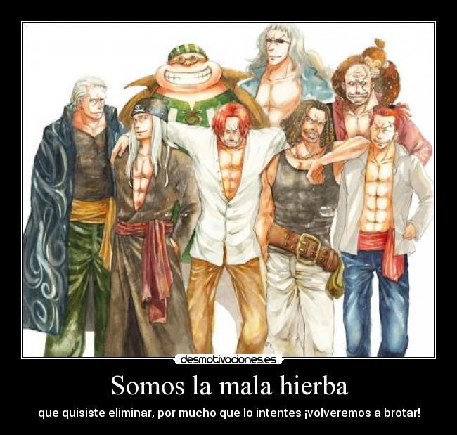 Somos la mala hierba - que quisiste eliminar, por mucho que lo intentes ¡volveremos a brotar!