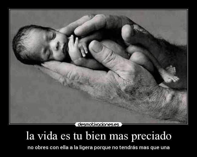 la vida es tu bien mas preciado - no obres con ella a la ligera porque no tendrás mas que una