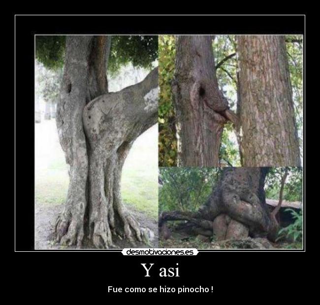 Y asi - Fue como se hizo pinocho !