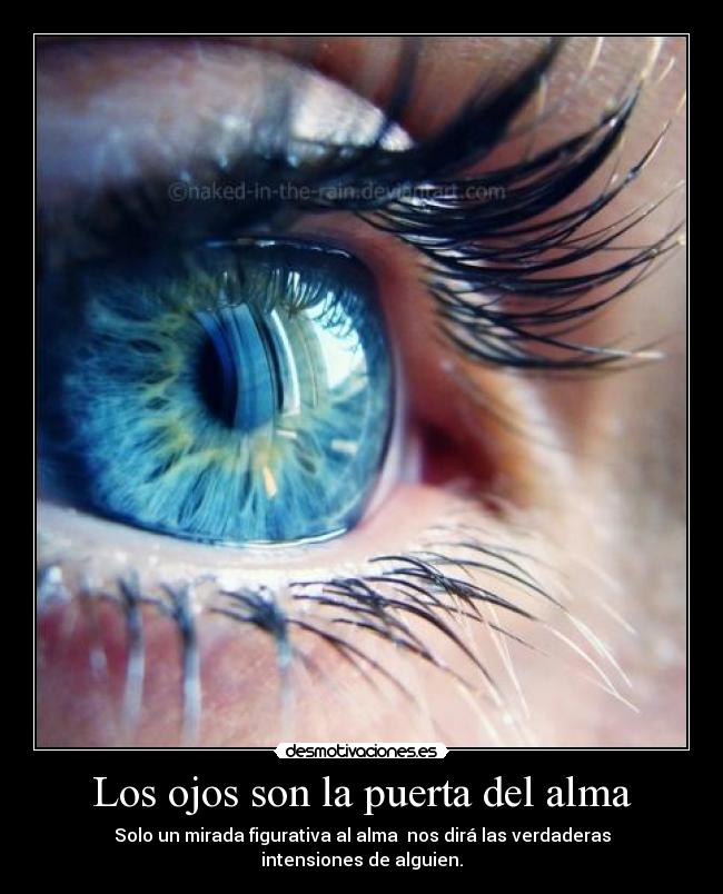 Los ojos son la puerta del alma - Solo un mirada figurativa al alma nos dirá las verdaderas intensiones de alguien.