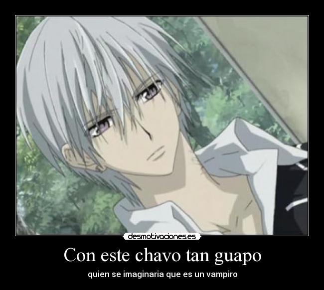 carteles vampire knight desmotivaciones