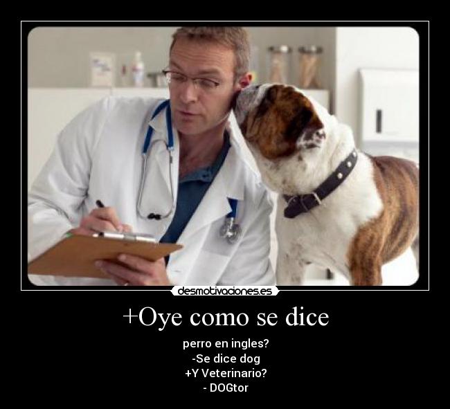 +Oye como se dice - perro en ingles?
-Se dice dog
+Y Veterinario?
- DOGtor