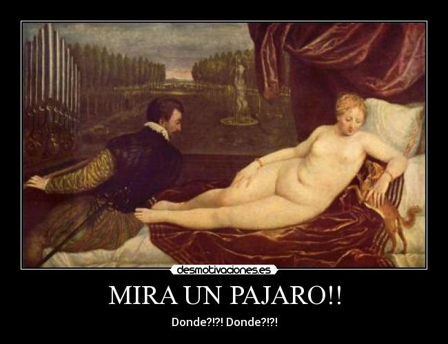 MIRA UN PAJARO!! - Donde?!?! Donde?!?!