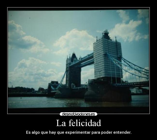 La felicidad - Es algo que hay que experimentar para poder entender.