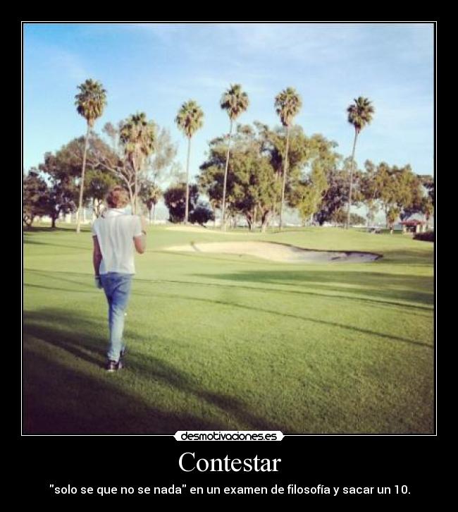 Contestar - 