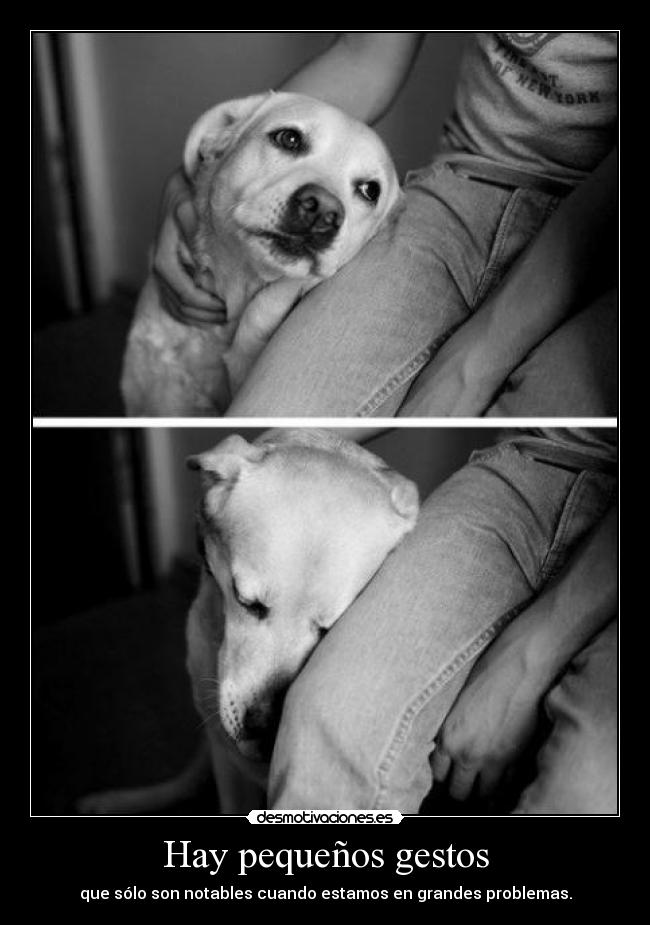 Hay pequeños gestos - que sólo son notables cuando estamos en grandes problemas.