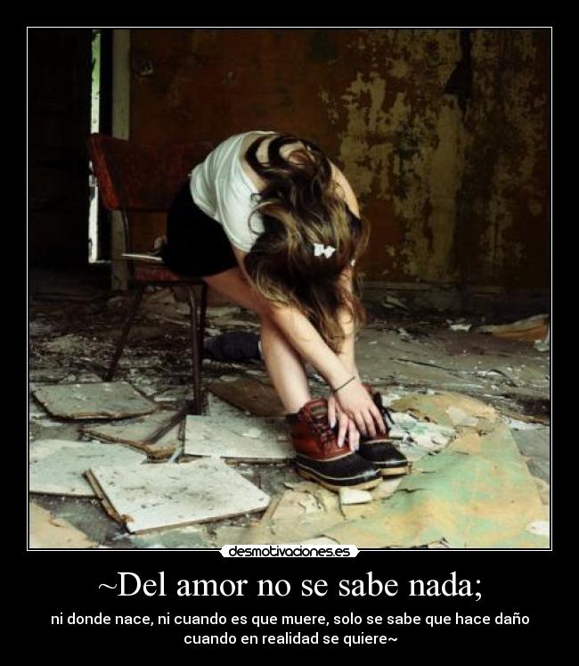 ~Del amor no se sabe nada; - ni donde nace, ni cuando es que muere, solo se sabe que hace daño
cuando en realidad se quiere~