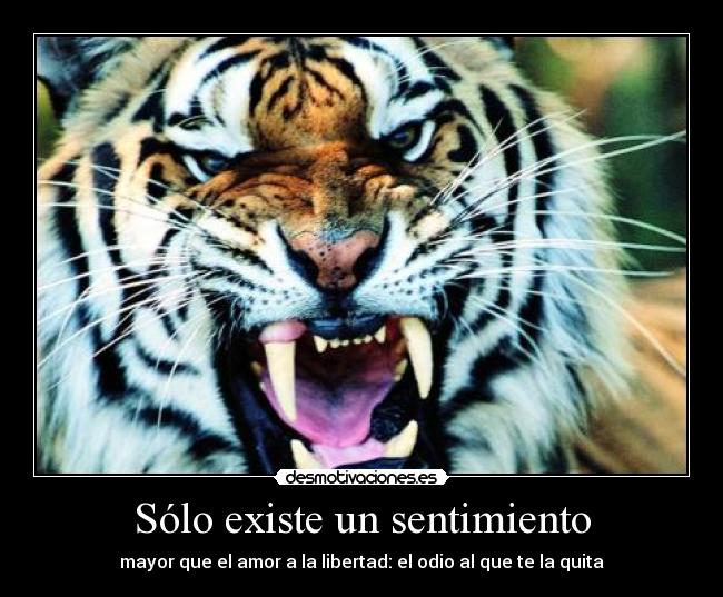 carteles eli desmotivaciones