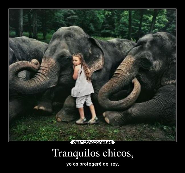 Tranquilos chicos, - yo os protegeré del rey.
