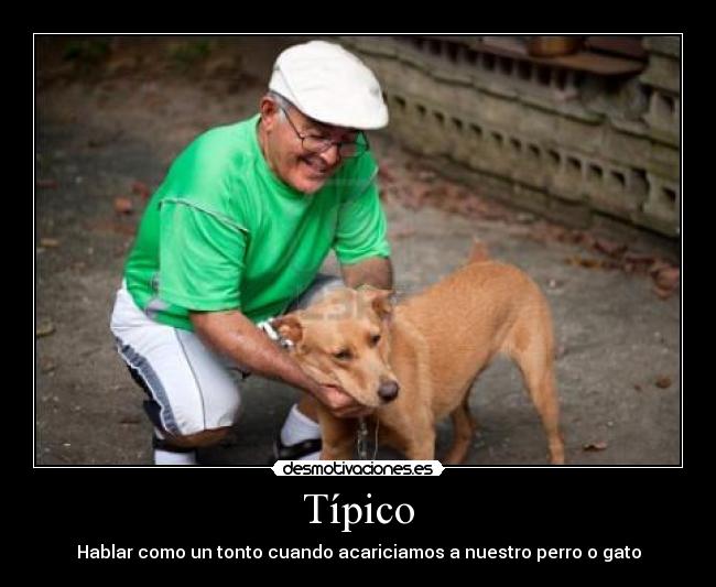 Típico - Hablar como un tonto cuando acariciamos a nuestro perro o gato