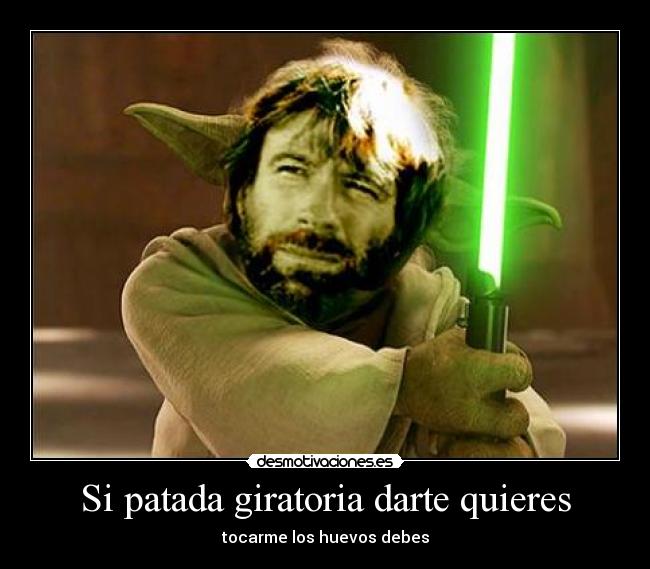 Si patada giratoria darte quieres -