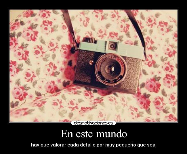 En este mundo - hay que valorar cada detalle por muy pequeño que sea.