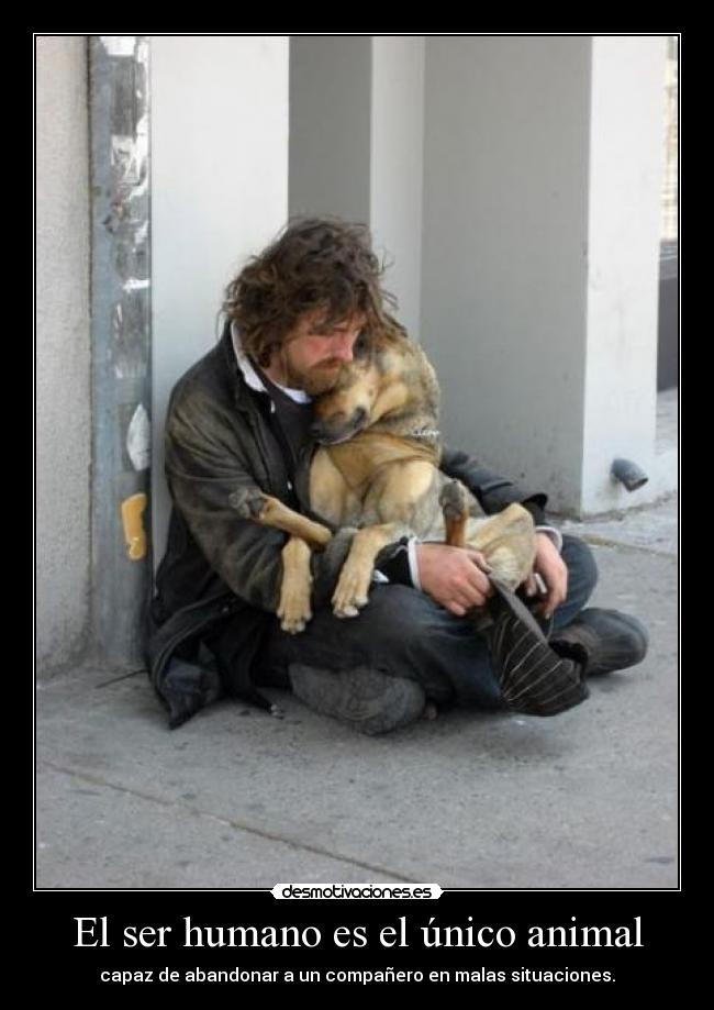 El ser humano es el único animal -