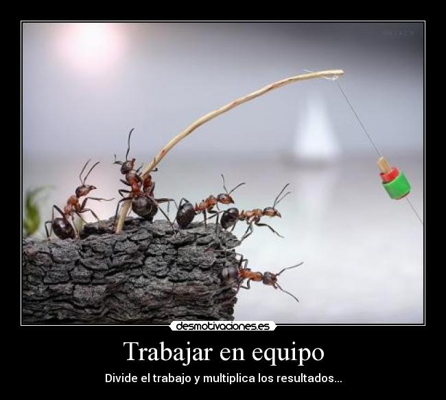 Trabajar en equipo - Divide el trabajo y multiplica los resultados...