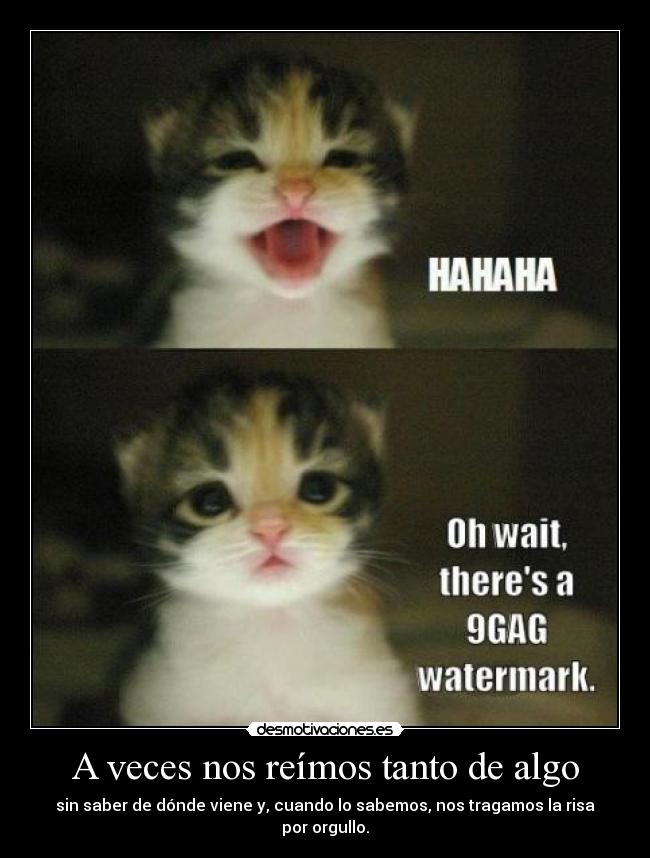 A veces nos reímos tanto de algo - sin saber de dónde viene y, cuando lo sabemos, nos tragamos la risa por orgullo.
