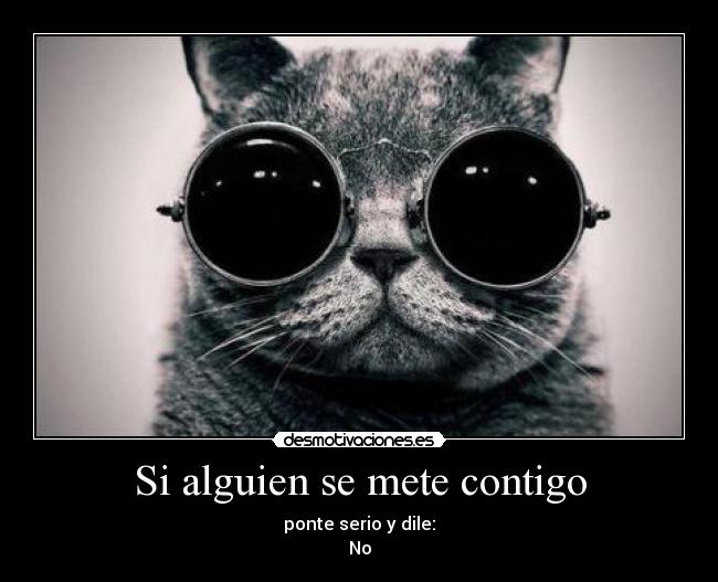 Si alguien se mete contigo - 