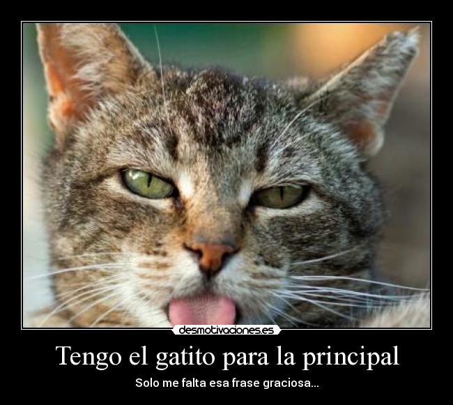 carteles obrack desmotivaciones