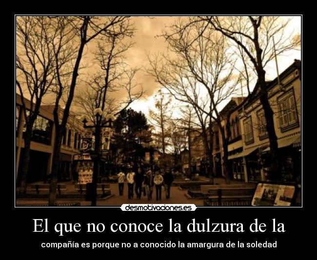 El que no conoce la dulzura de la - compañía es porque no a conocido la amargura de la soledad