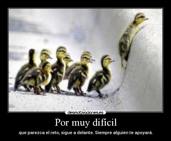 Por muy difícil - que parezca el reto, sigue a delante. Siempre alguien te apoyará.