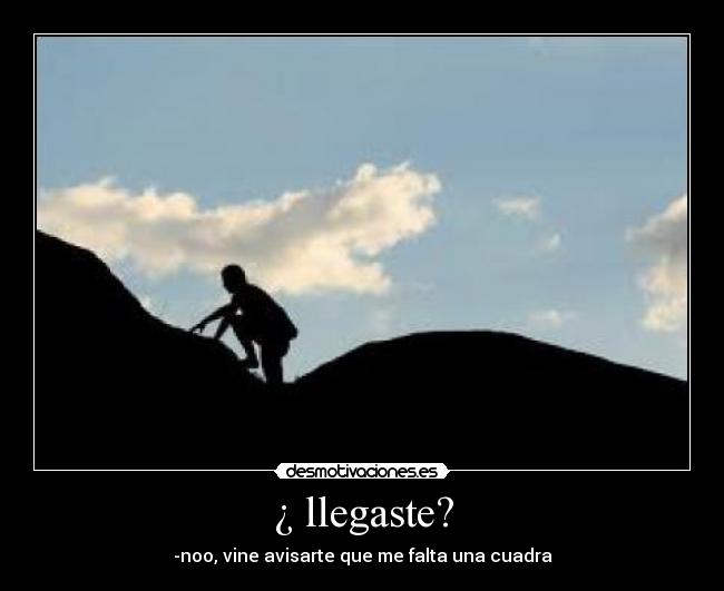 carteles preguntas estupidas desmotivaciones