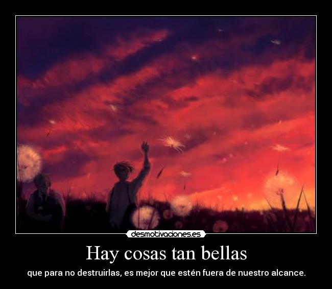 Hay cosas tan bellas - 