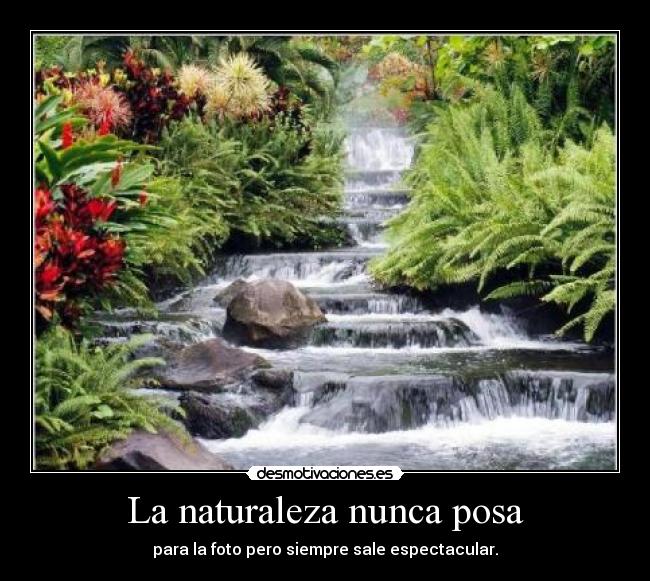 La naturaleza nunca posa -