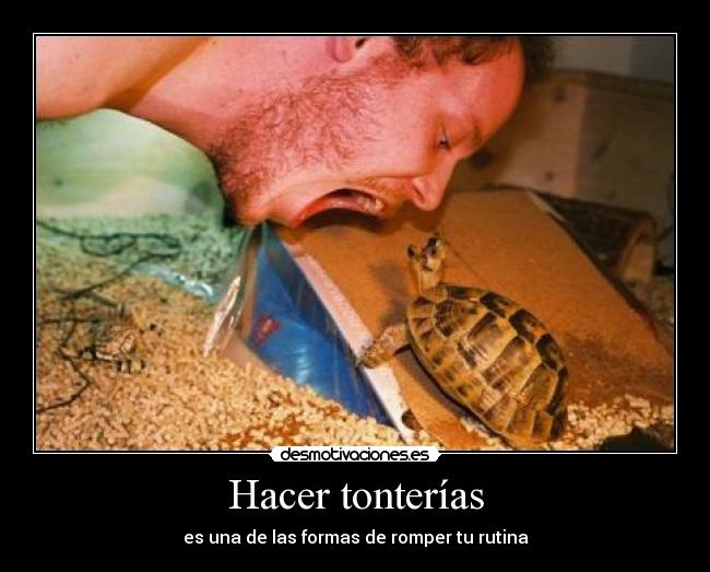 Hacer tonterías - 