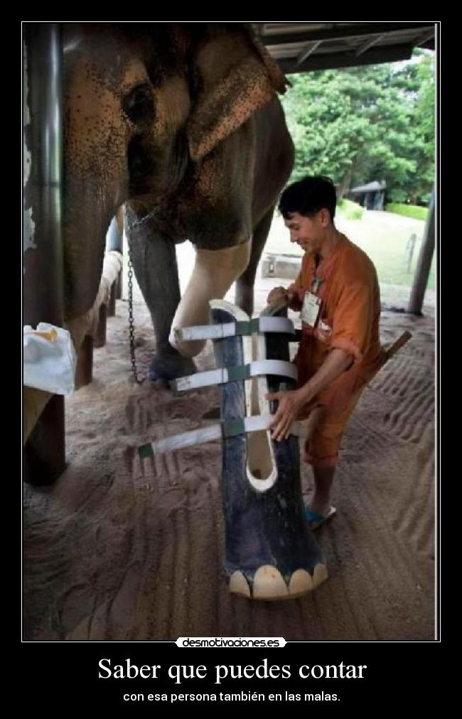 Saber que puedes contar - 