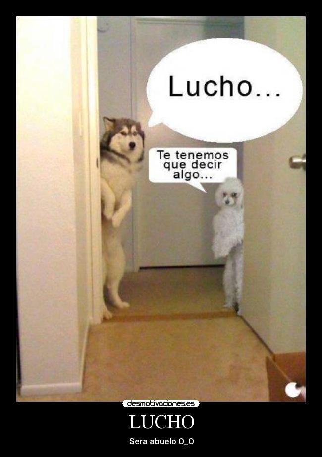 LUCHO -