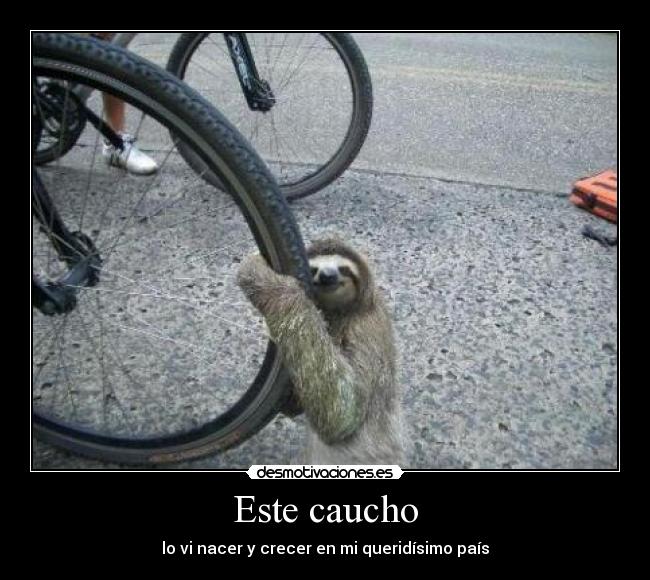 Este caucho -