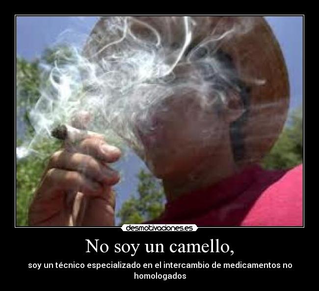 No soy un camello, - 