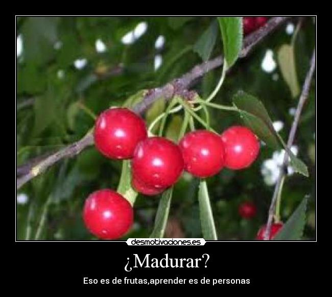 ¿Madurar? -