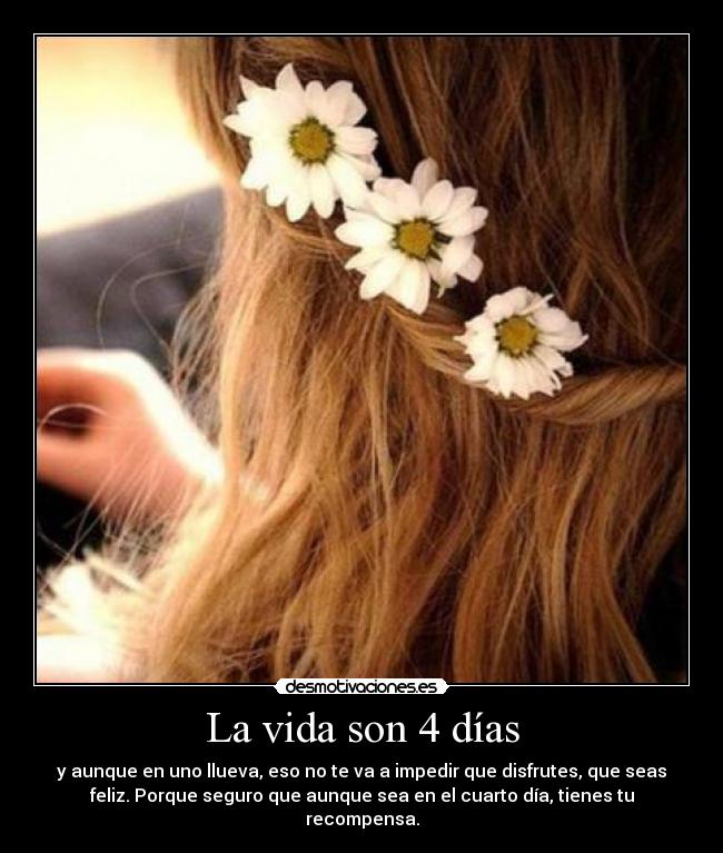 La vida son 4 días - 