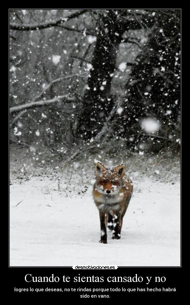 Cuando te sientas cansado y no - 