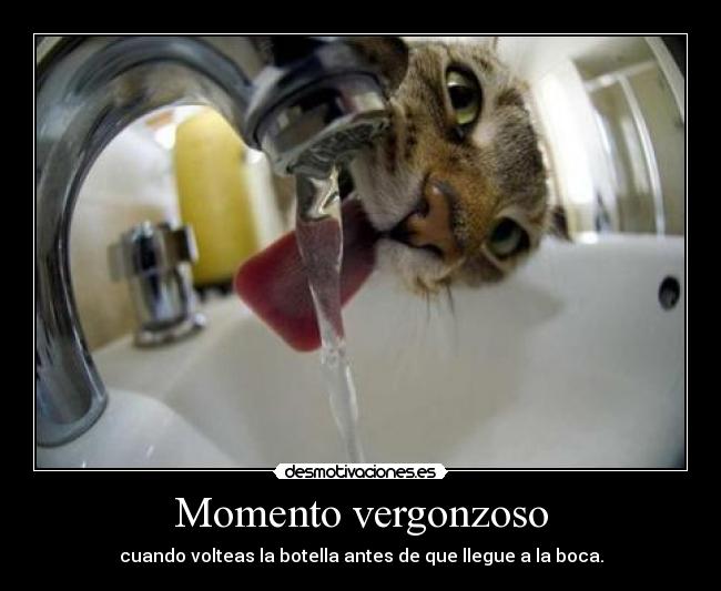 carteles jewjewjewjew este cartel sido propuesto antes desmotivaciones