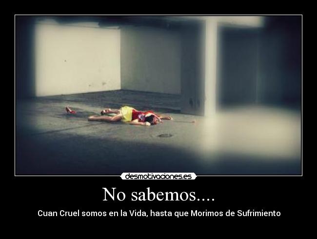 No sabemos.... - Cuan Cruel somos en la Vida, hasta que Morimos de Sufrimiento
♥