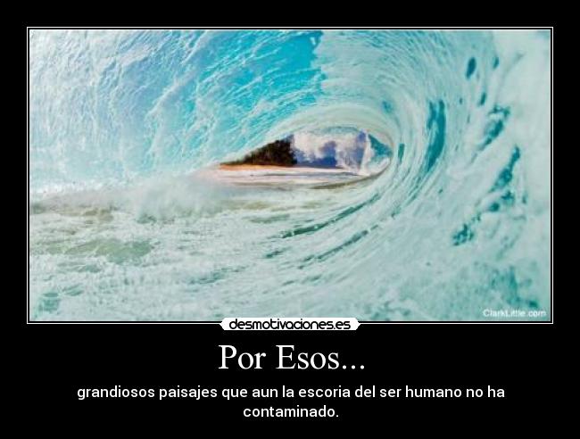 carteles andrea desmotivaciones