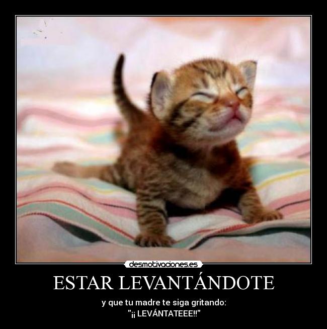 ESTAR LEVANTÁNDOTE -